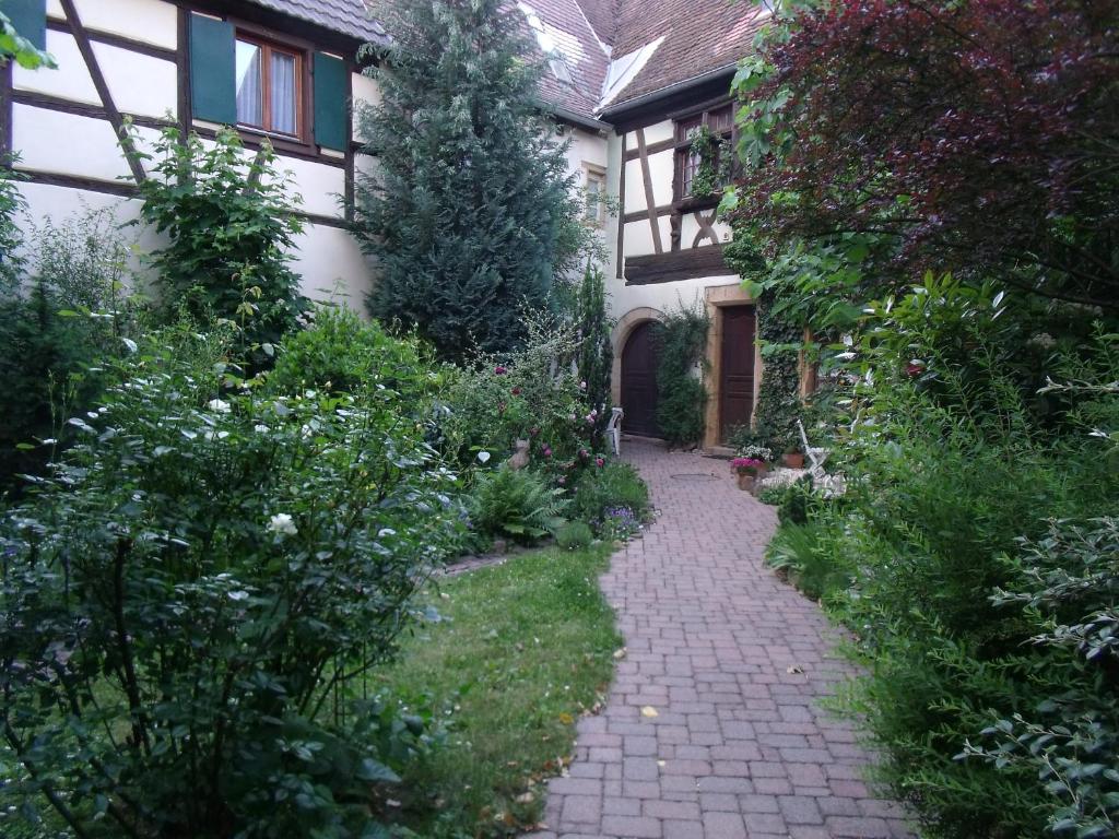 des femmes arabes french guiana location appartement turckheim