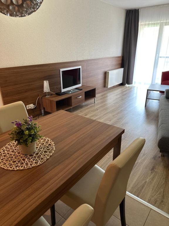 TV a/nebo společenská místnost v ubytování Penzion Blatnička