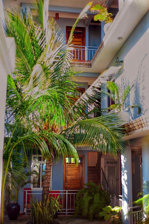 a palm tree in front of a building at Mangi Mangi Accomodation in Nungwi