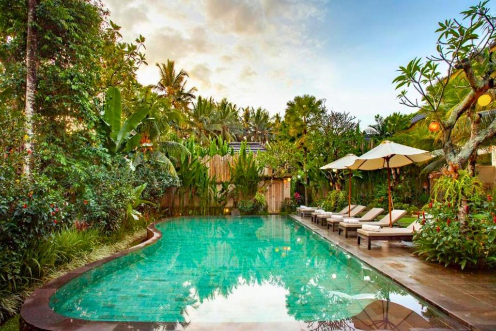 Kolam renang di atau dekat dengan Zyandru 1 BR Deluxe Garden View ZN175