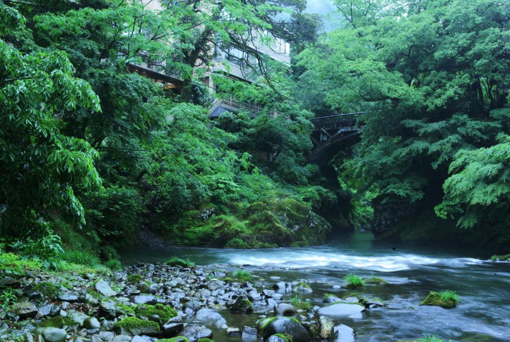 a river in the middle of a forest at Koorogirou in Kaga