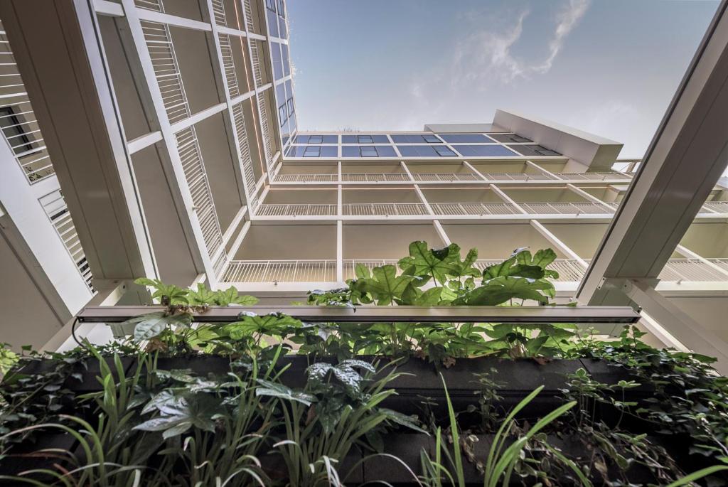 Palazzo Viridis - Resim 29