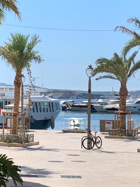 un vélo garé à côté des palmiers dans un port de plaisance dans l'établissement Louis Blanc derrière le port, à Sanary-sur-Mer