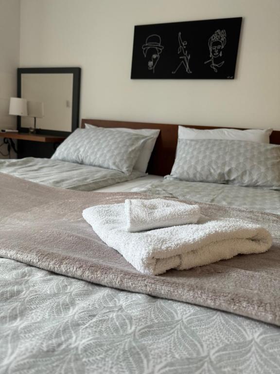 Postel nebo postele na pokoji v ubytování Apartmani Viver Vrnjačka Banja