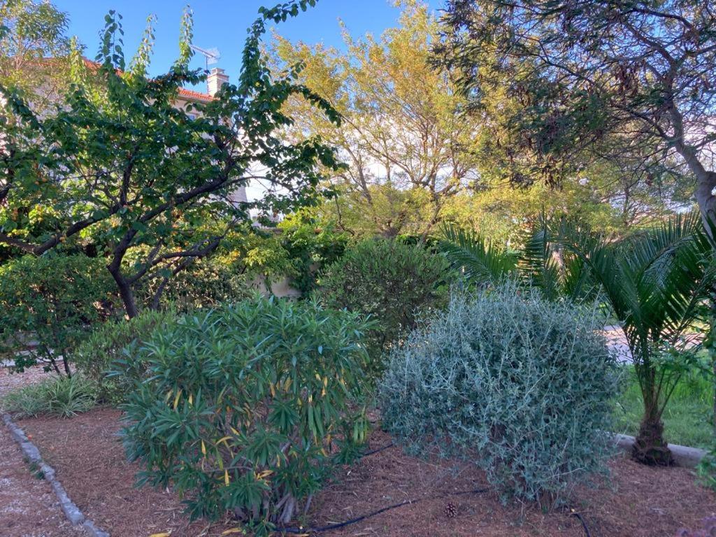 un jardin avec diverses plantes, arbres et arbres dans l'établissement magnifique villa avec piscine, à Antibes