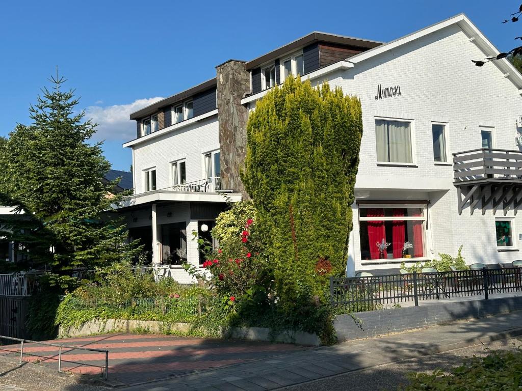 Mimosa Hotel - Resim 9