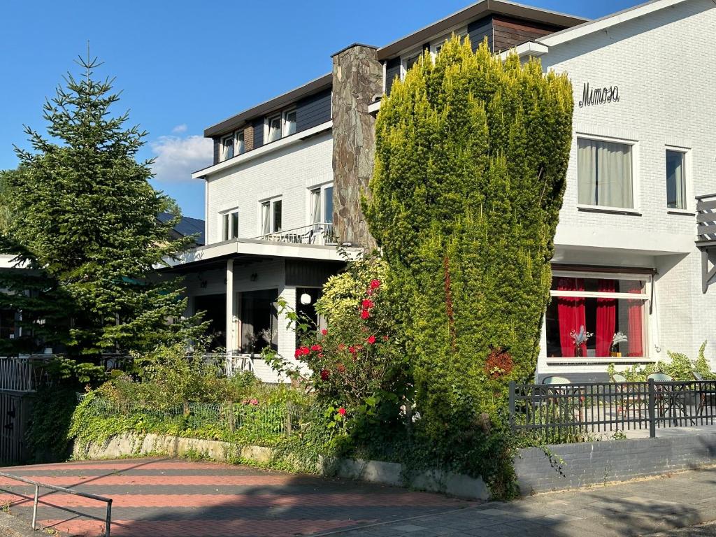 Mimosa Hotel - Resim 27