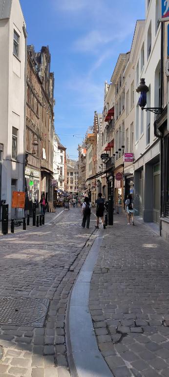 a cobblestone street in a city with buildings at Résidence Marianne 2 in Brussels