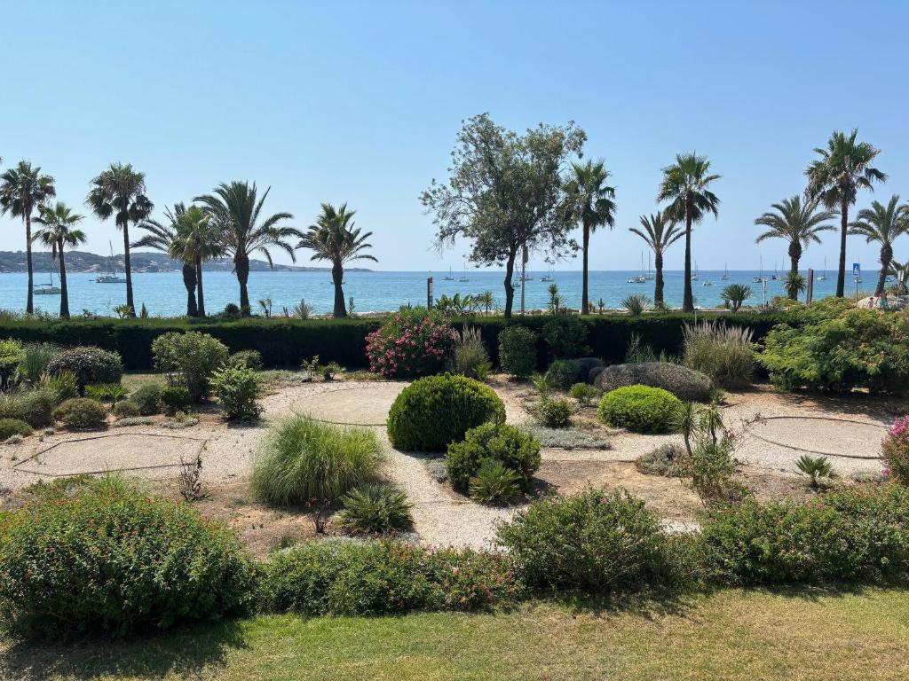 - un jardin sur la plage avec des palmiers et l'océan dans l'établissement La Plage dorée Appartement T1 Magnifique vue mer, à Sanary-sur-Mer