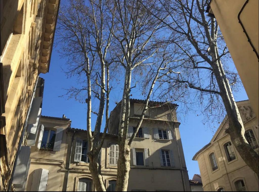 un grand bâtiment avec des arbres devant lui dans l'établissement Appartement de charme, à Avignon