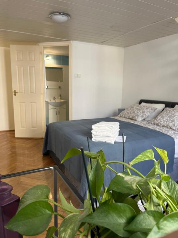 Central Downtown Apartments 1067 Budapest, Csengery utca 62 kép - 1