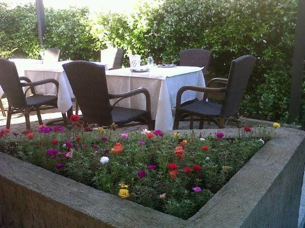 Albergo Valentinaにある庭