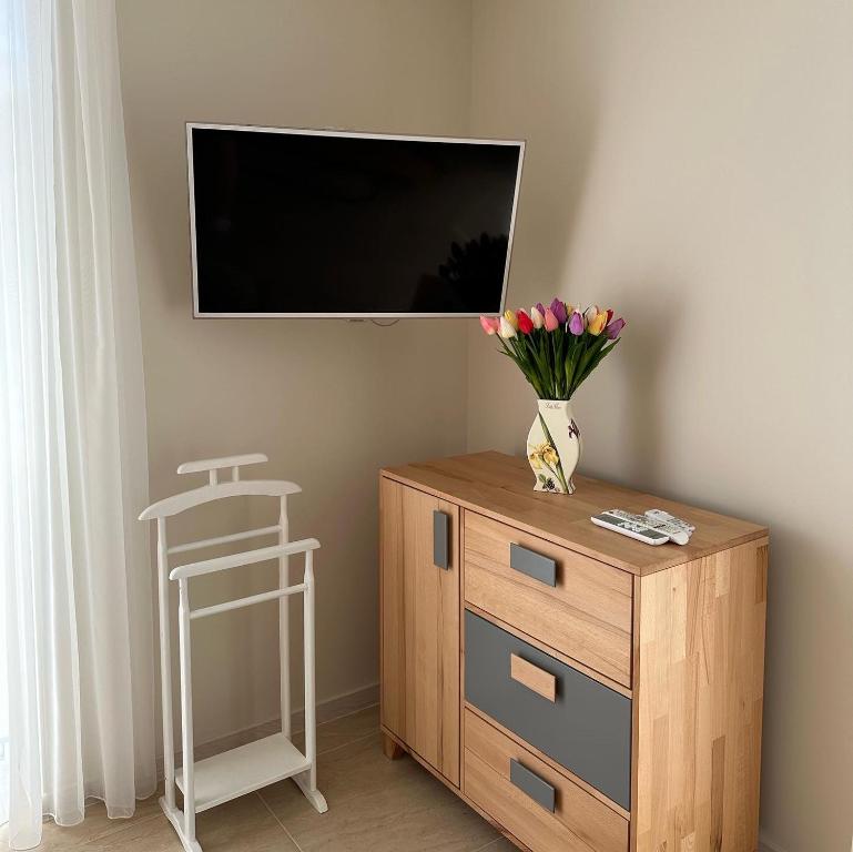 TV a/nebo společenská místnost v ubytování Guest Apart Polyana
