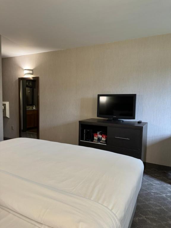 Normandy Farm Hotel & Conference Center - King Room