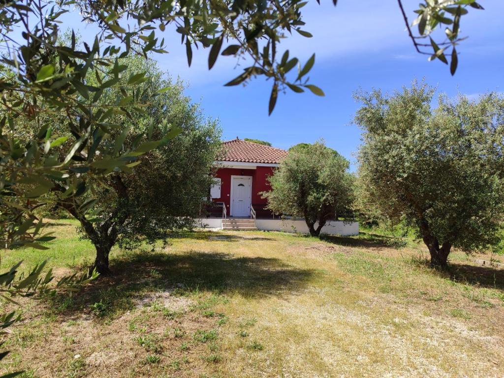 Κήπος έξω από το Zante Green View