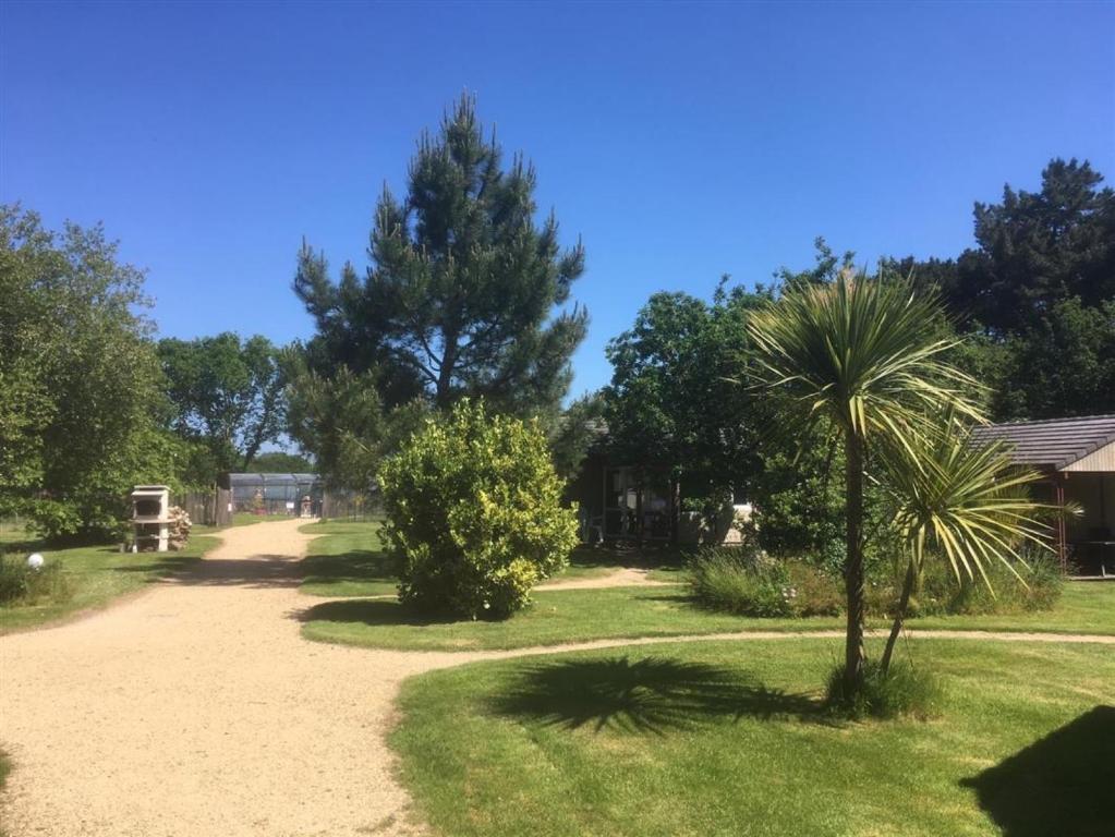 un palmier au milieu d'un chemin de terre dans l'établissement Village de gites Stereden, à Pleumeur-Bodou