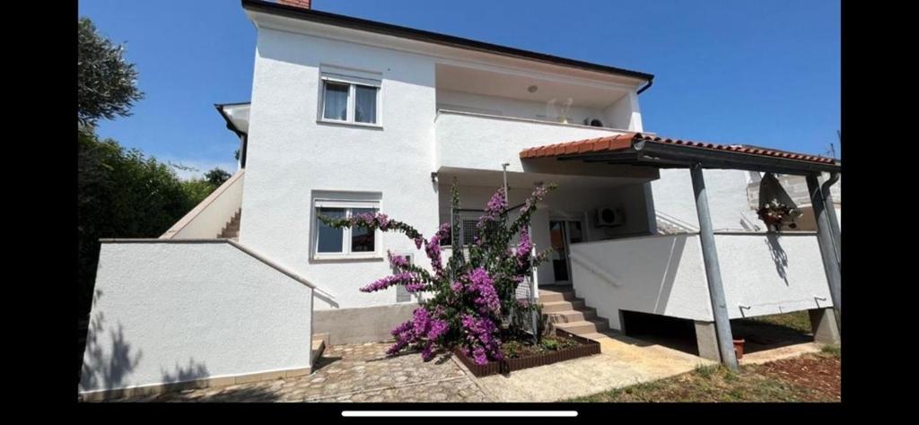 DB Apartments