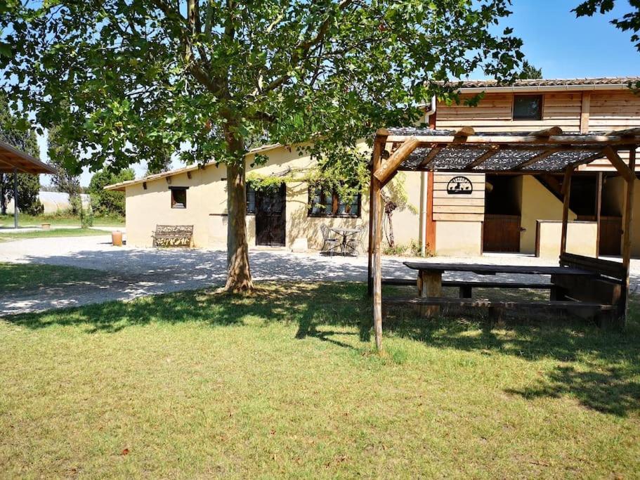 une table de pique-nique sous un arbre devant un bâtiment dans l'établissement Gîte équestre en Provence aux pieds des Alpilles, à Maillane