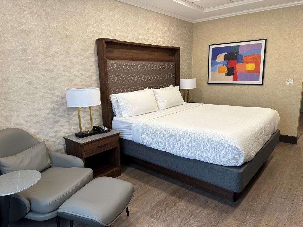 Holiday Inn Plainview-Long Island, an IHG Hotel - Room King Standard - Piso Superior