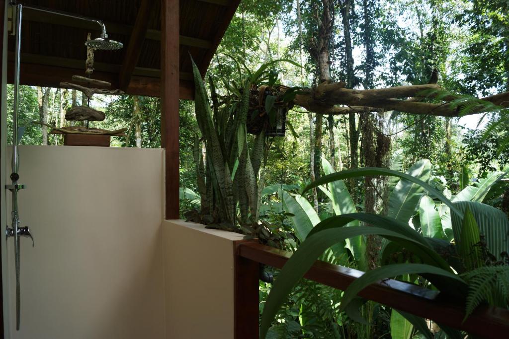 Zahrada ubytování Mar Verde Lodge