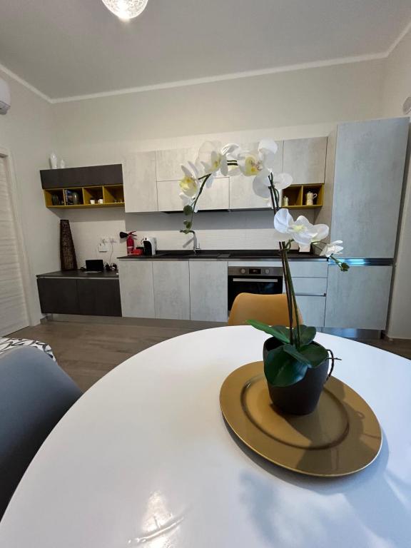 40 metri quadri - Housity