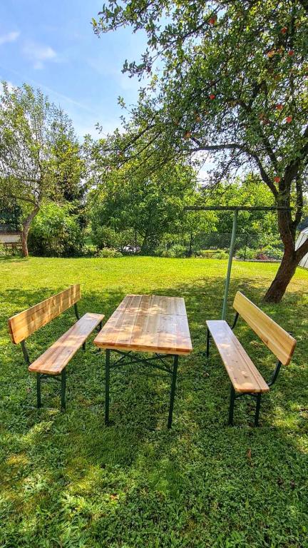 Zahrada ubytování Apartmány Zelená Hora s velkou zahradou