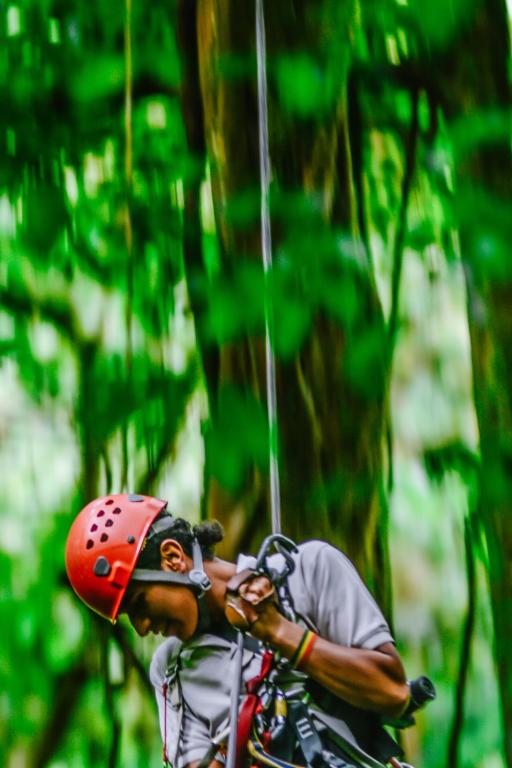 Clientes alojados en Cloud Forest Lodge
