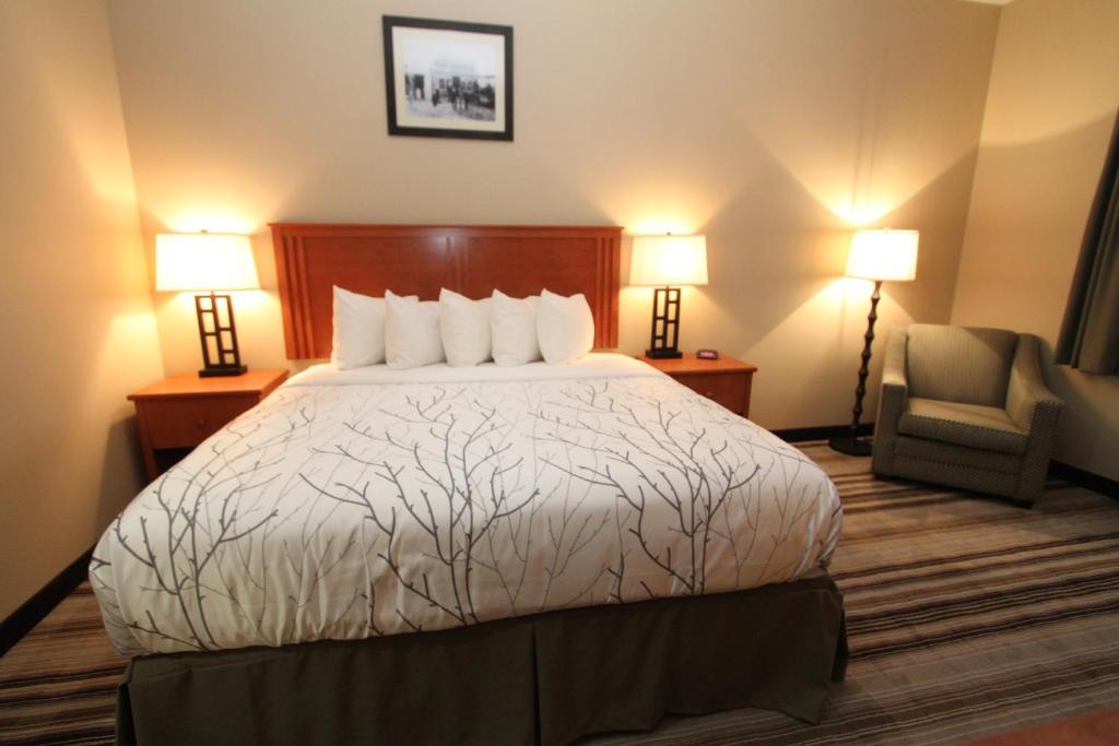 um quarto de hotel com uma cama, uma cadeira e candeeiros em Bowman Lodge & Convention Center em Bowman