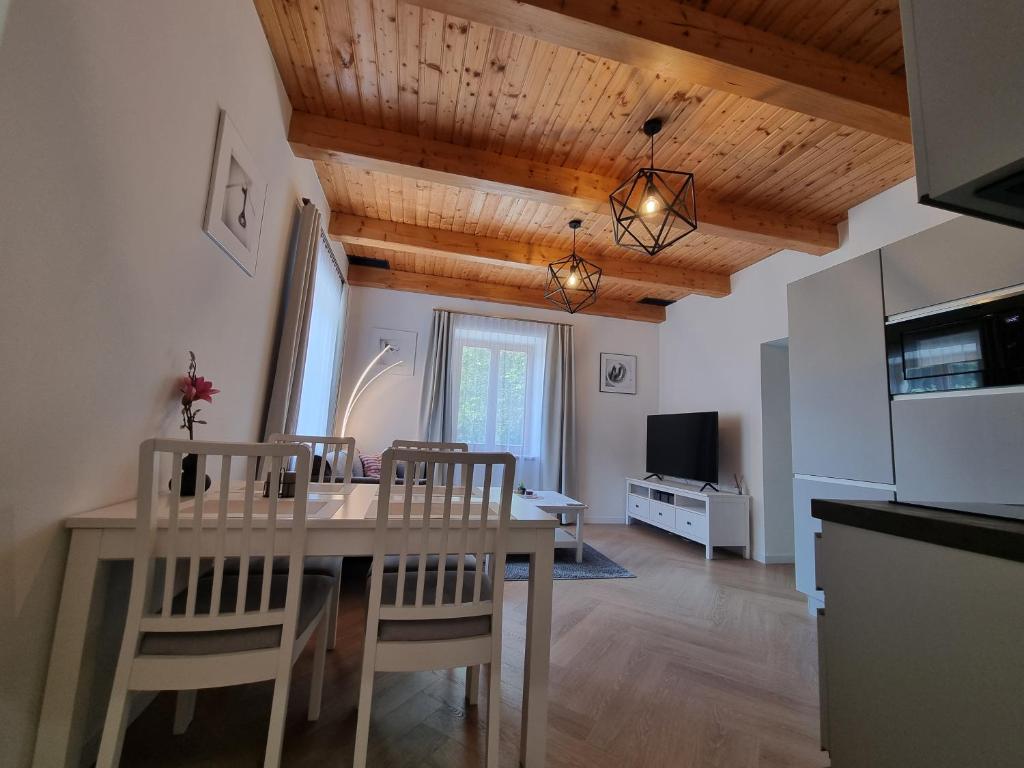 Kuchyň nebo kuchyňský kout v ubytování Penzion Osika