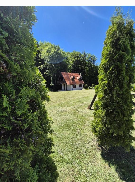a house in the middle of a field with two trees at Kuća za odmor Mališevac in Gornja Koprivna
