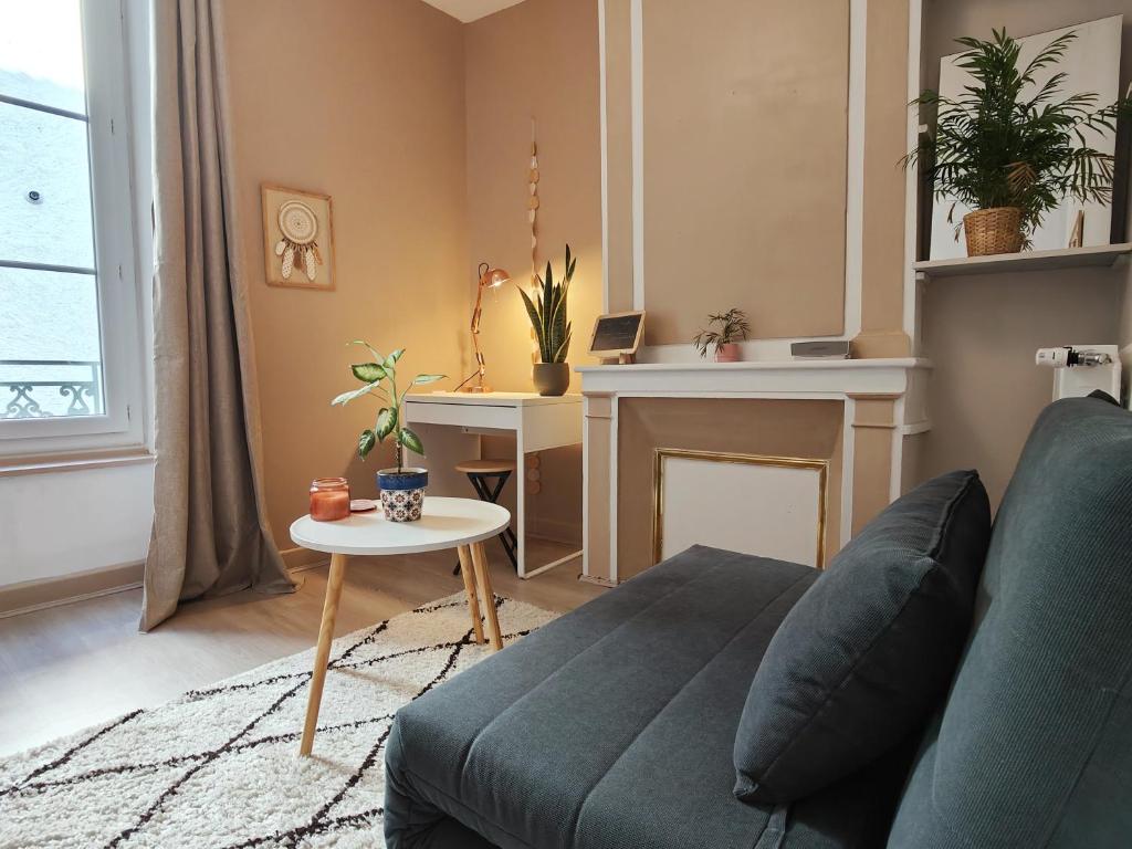 un salon avec un canapé et une table dans l'établissement Le nid du prince, à Aurillac