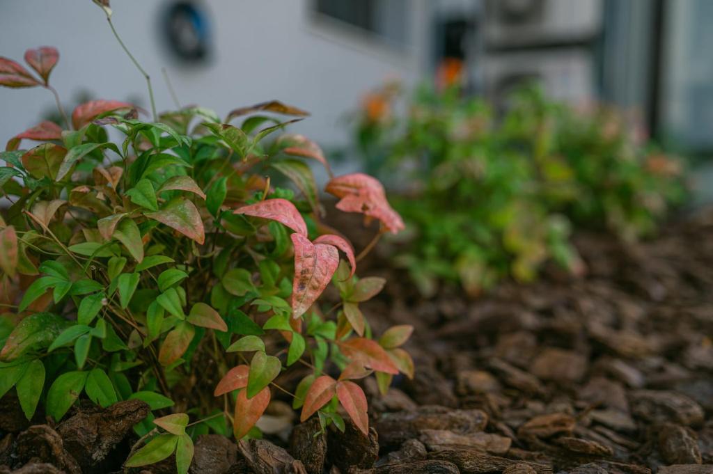 Oktolia suites - Resim 45