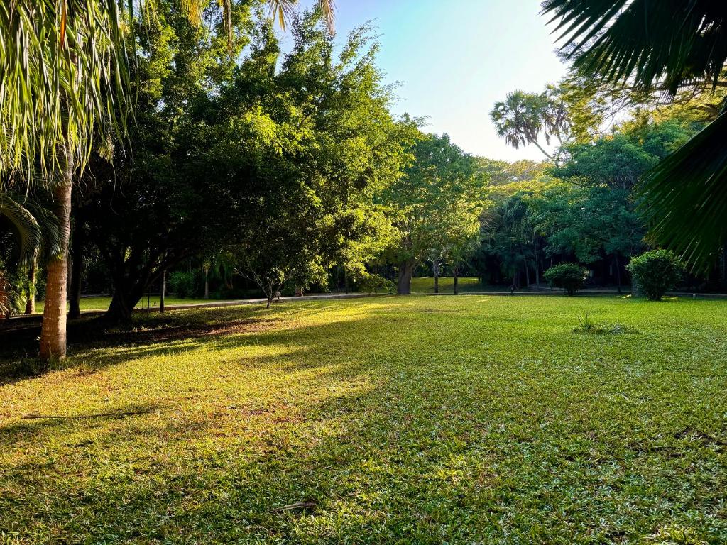 Zahrada ubytování Galu Ecolodge - Diani Beach
