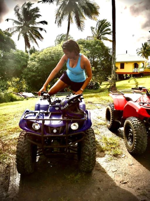 Hosté ubytování Beach, Falls,Pitons, Mud Bath- Villa La Soufriere