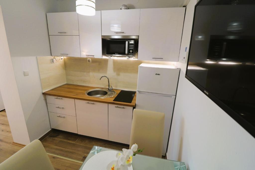 Kuchyň nebo kuchyňský kout v ubytování Apartmani Bilokapić Primošten