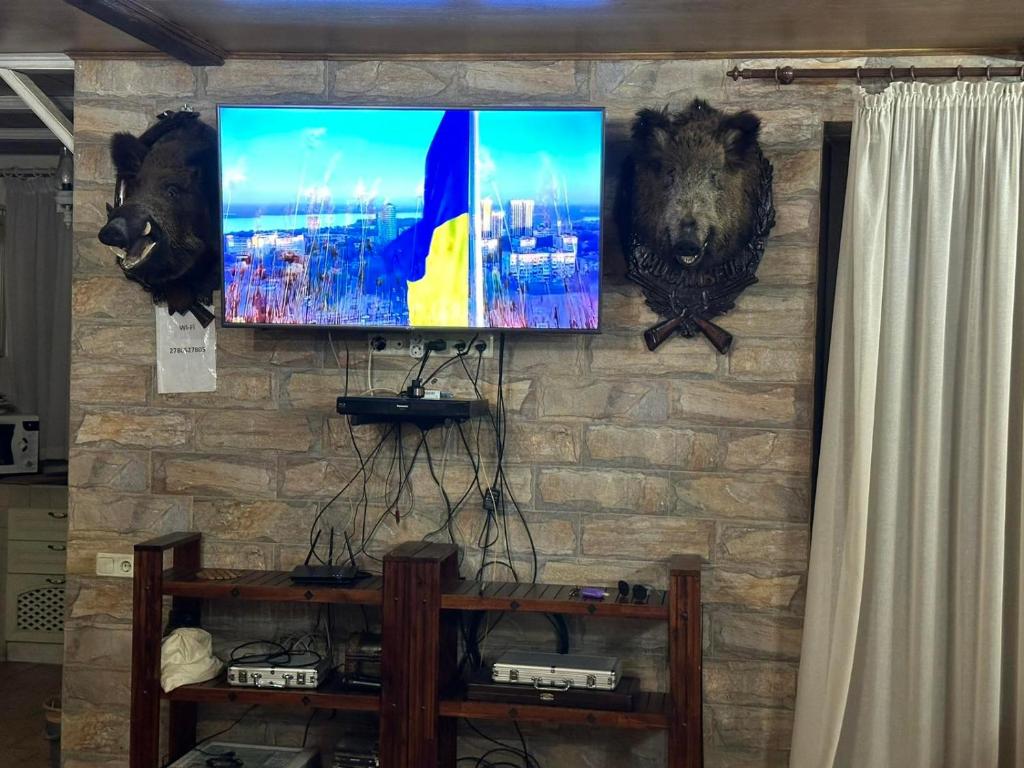 TV a/nebo společenská místnost v ubytování Guest House on Lesnaya
