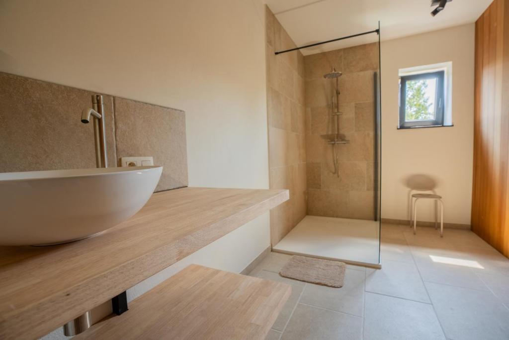 Koupelna v ubytování Chalet Kato - Nieuw! Open vanaf 2 augustus 2024