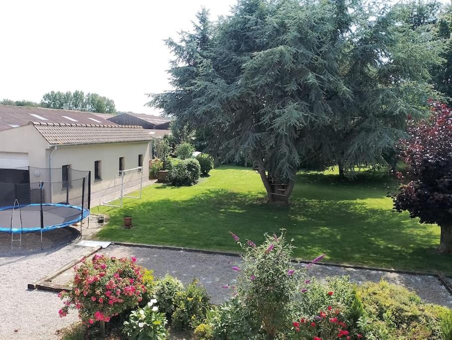 une cour avec un arbre et un trampoline dans l'établissement Maison de campagne, proche plage, à Offrethun
