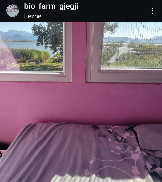 Příroda nedaleko penzionu
