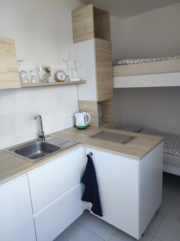 Kuchyň nebo kuchyňský kout v ubytování Apartmán Bezruč