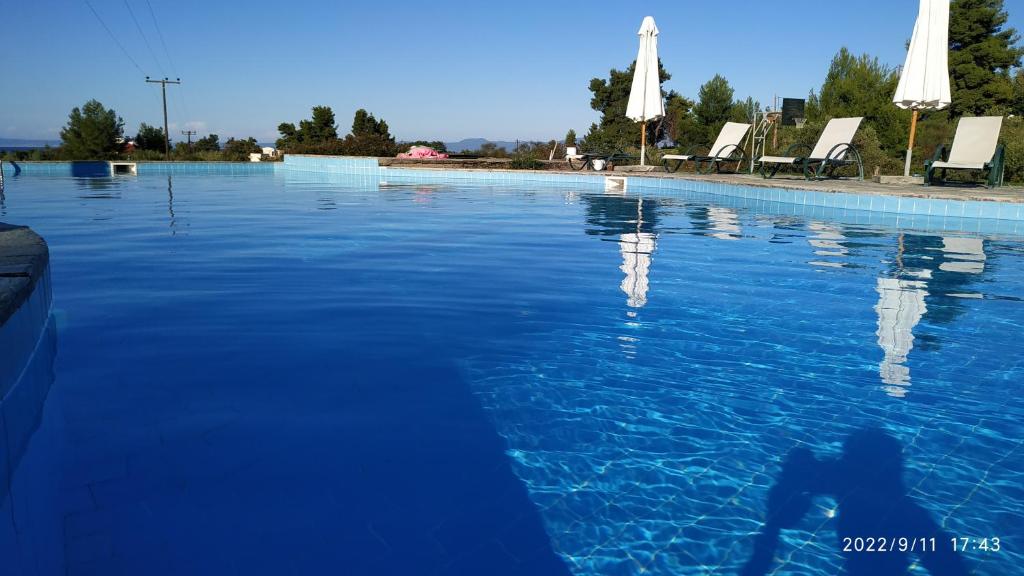 a large pool of blue water with chairs and umbrellas at Roxanne villa's in Hanioti