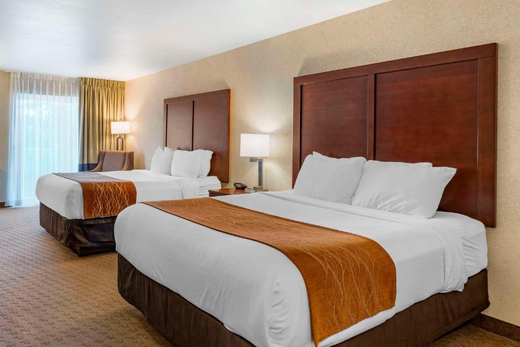 Comfort Inn & Suites Lincoln City - 标准大号床间 - 带两张大号床 - 禁烟