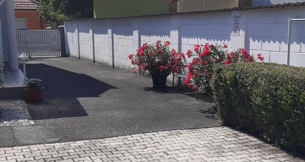 Vonkajšia záhrada v ubytovaní Czinger Vendégszobák