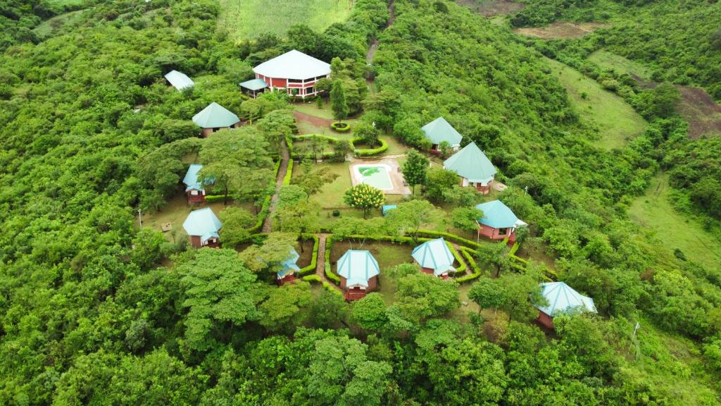 山林小屋周边自然景观