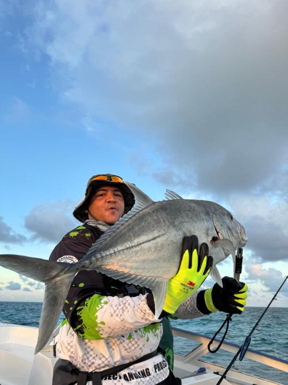 Hosté ubytování Fulidhoo Ihaa Lodge