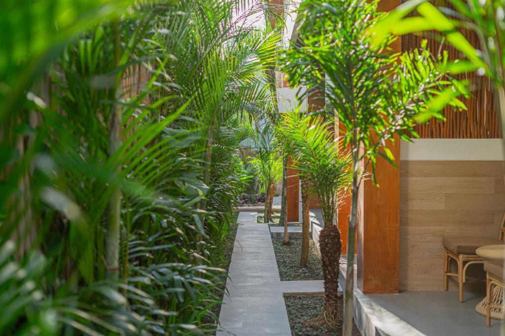 Nooju Pererenan - 18