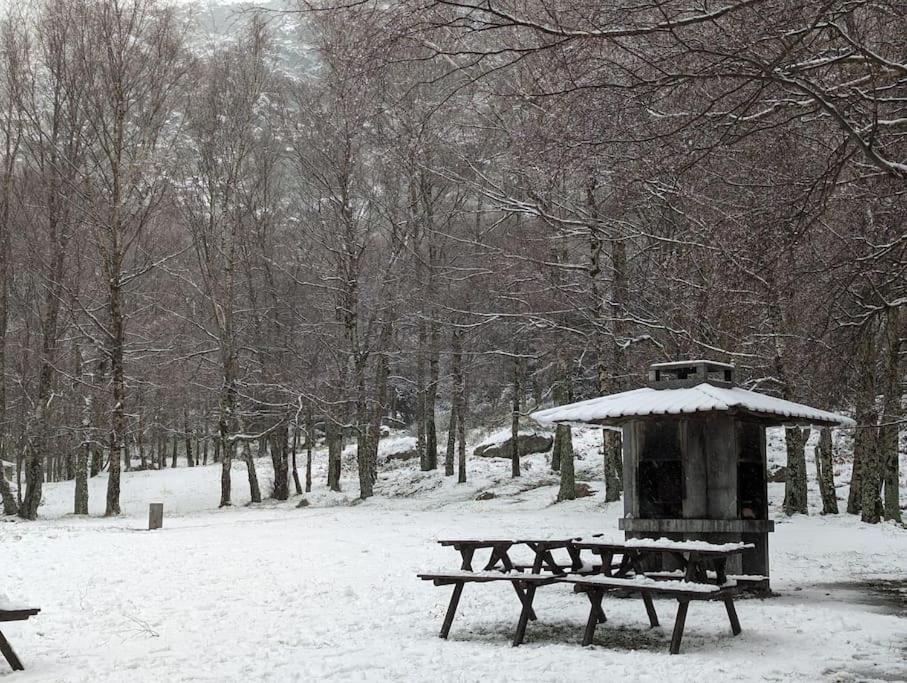 Lugar da Borralheira en invierno