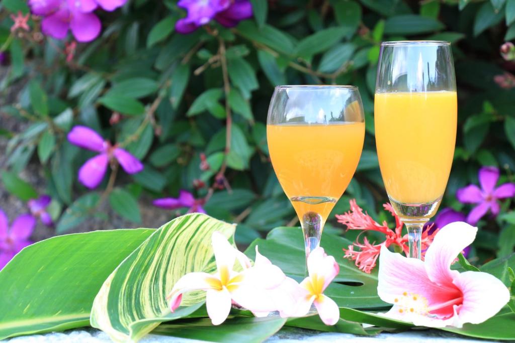 屋久島的住宿－尼克伊奇民宿，两杯橙汁,坐在鲜花旁边