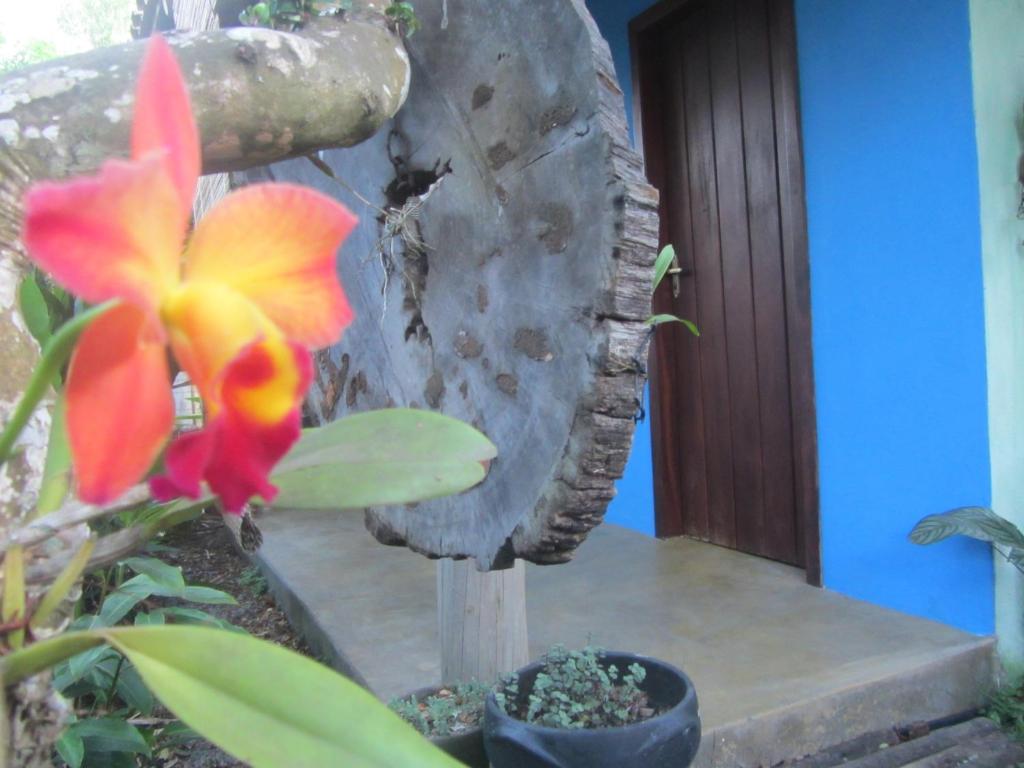  Chalé Mangaba