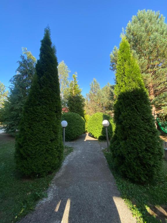 A garden outside Apartmani MiM